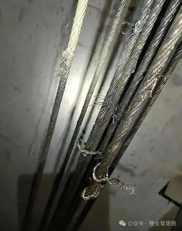 圖片關鍵詞 圖片