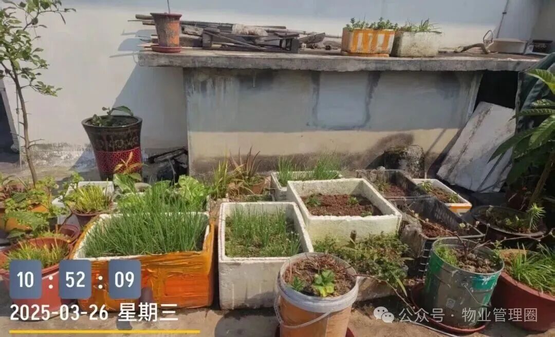 圖片關鍵詞 圖片