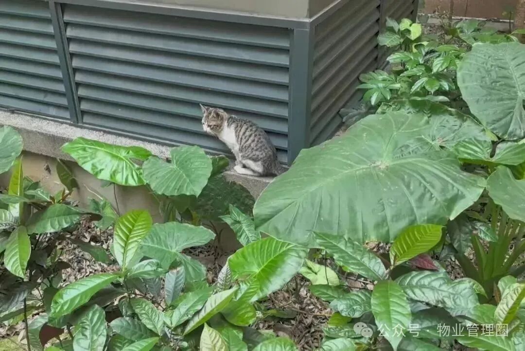 圖片關鍵詞 圖片