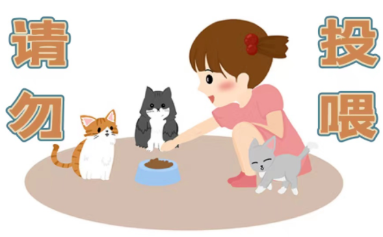 圖片關鍵詞 圖片