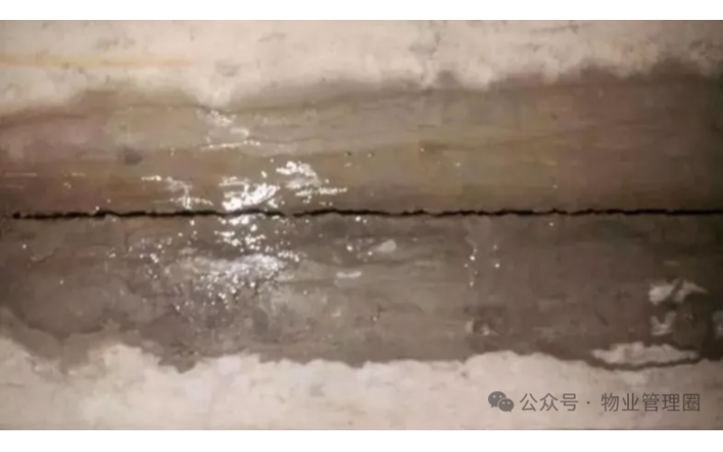 物業未履約協調維修，業主能否拒交物業費？