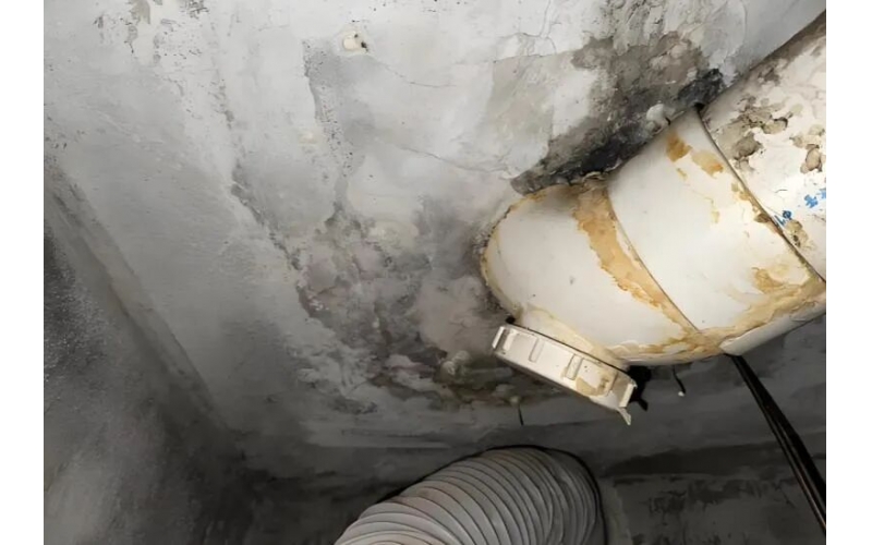 共用管道漏水致損，責任誰來擔？