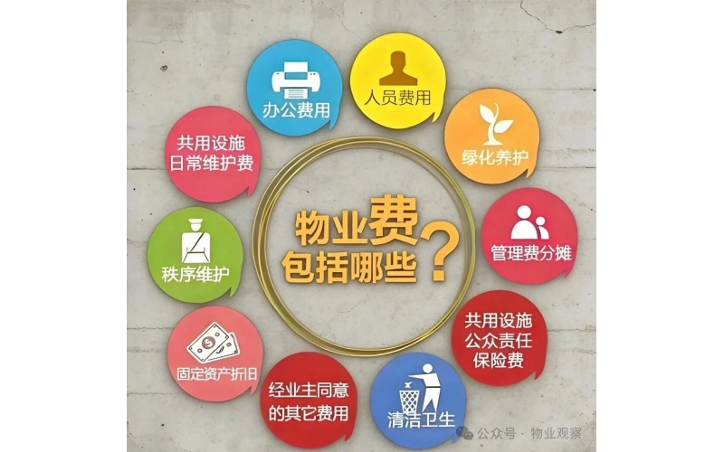 私占公共區域堆放雜物被清理，法院判決：物業無責，不賠償！