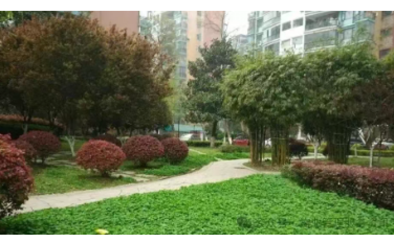 你交的物業費包含哪些服務？