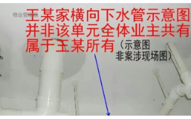 樓上支管漏水、樓下遭殃，誰承擔賠償責任？
