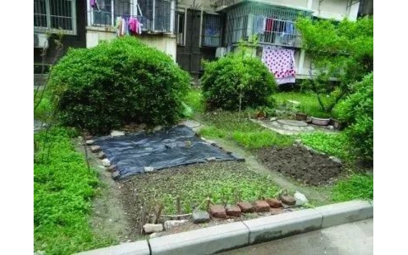 車停在小區消防通道，被墻磚砸中，物業要賠嗎？